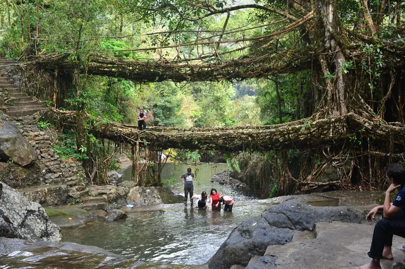 The double decker living root bridge at Nongriat